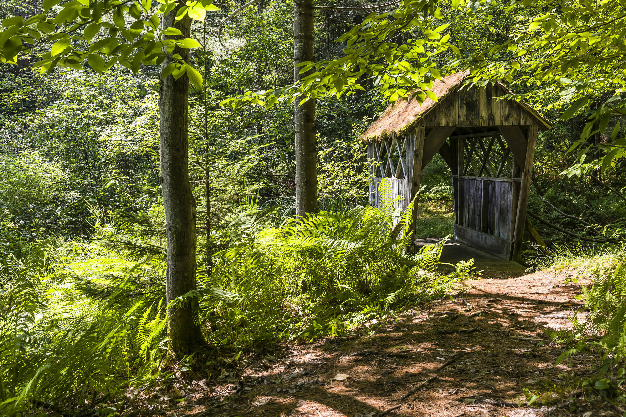 Bluebird Cady Hill Lodge Stowe Exteriér fotografie